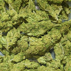 Cherry Mixed Phenotype CBD Flower