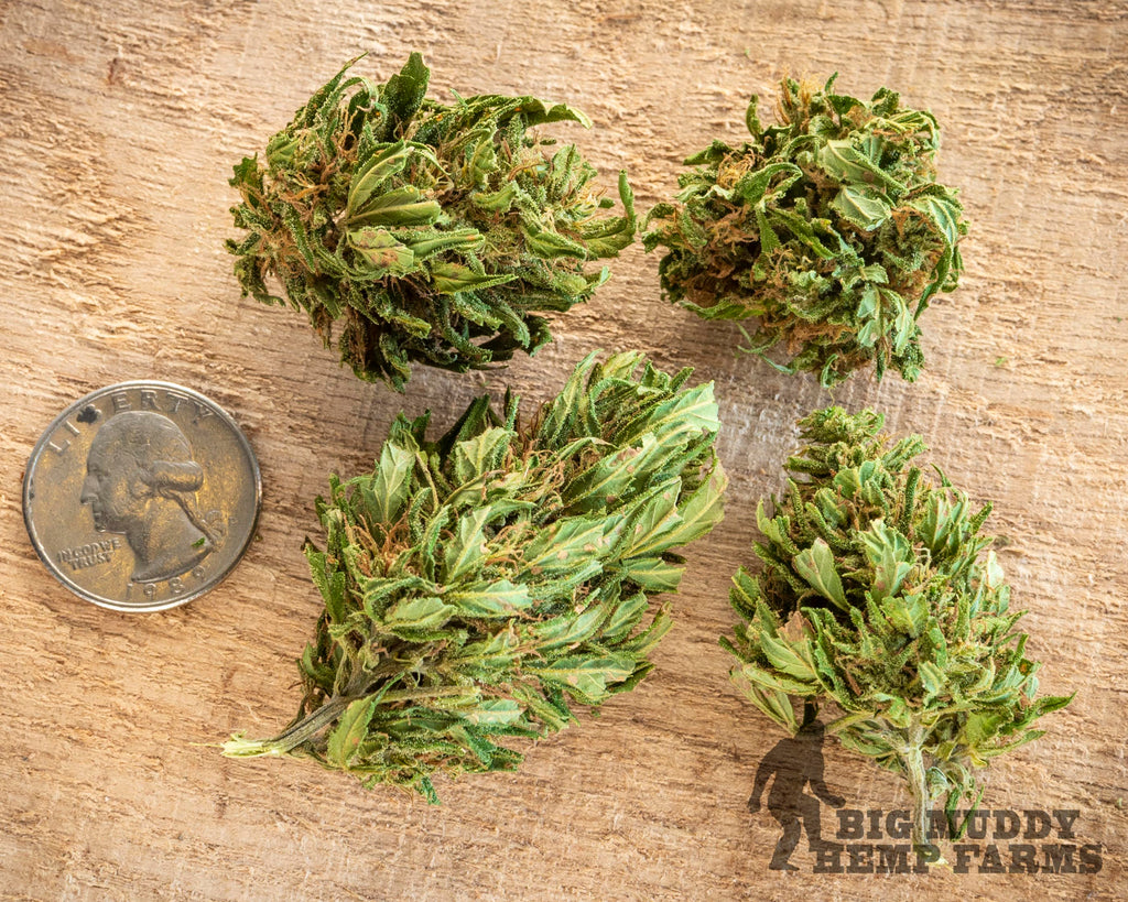Deschutes CBD Flower