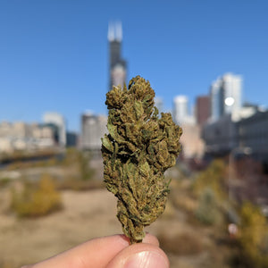 Cherry #4 CBD Flower